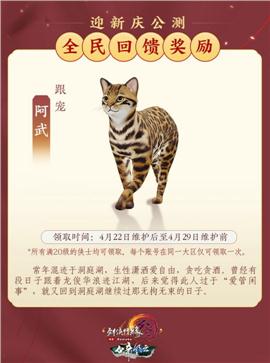 老表天龙八部私服